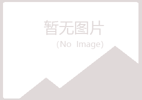 山城区向珊能源有限公司